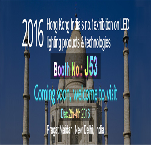 2016 levou expo india