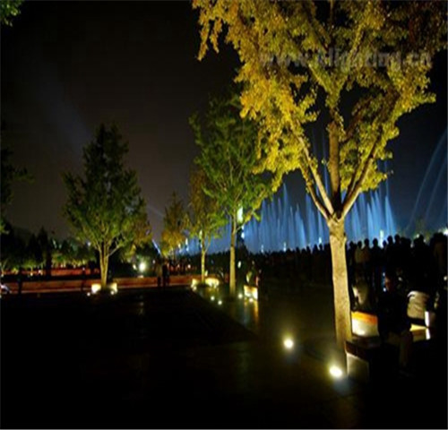A iluminação exterior do jardim 316 de aço inoxidável conduziu luzes da árvore do inground